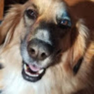 Meet your Posher, Zach